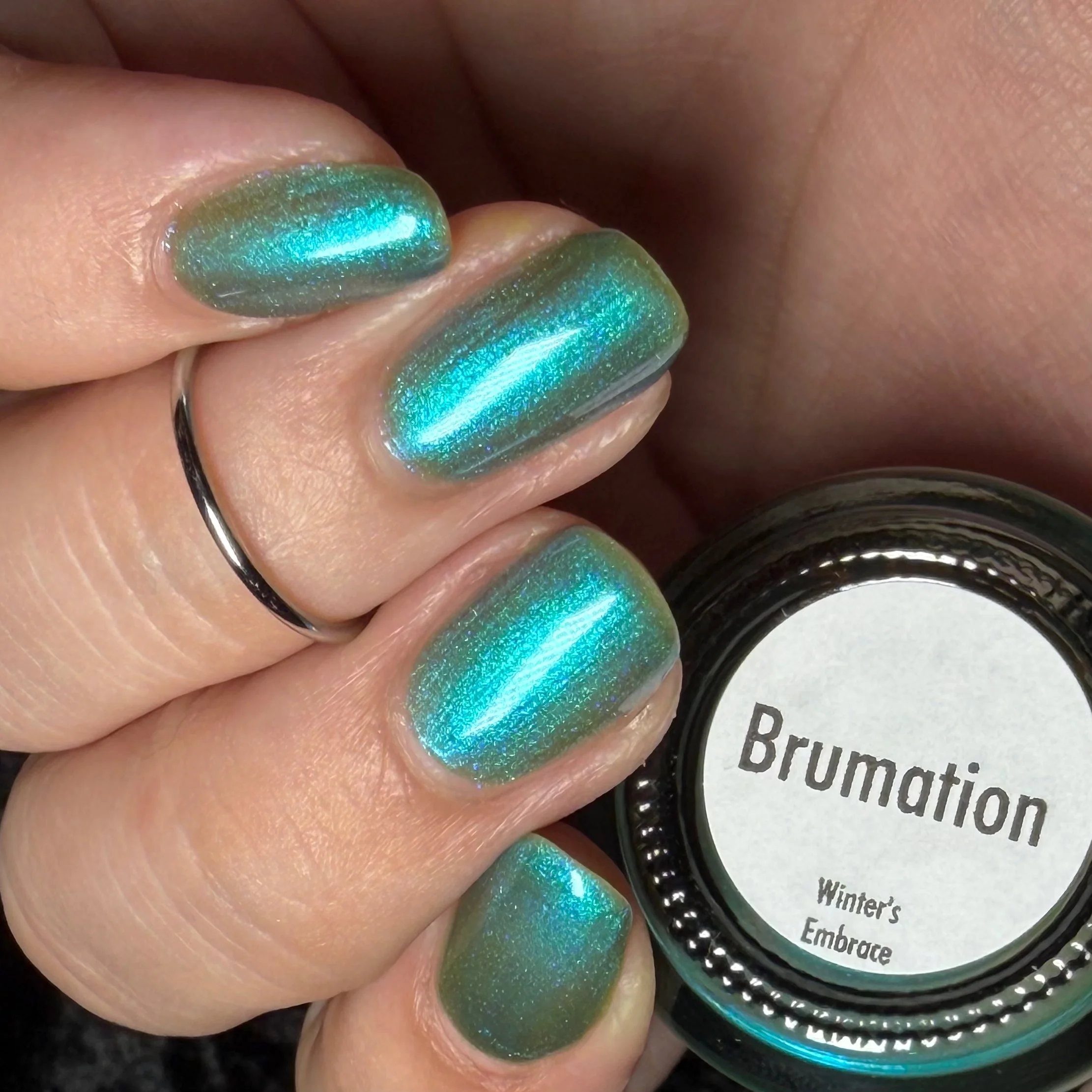 Brumation - Image 39