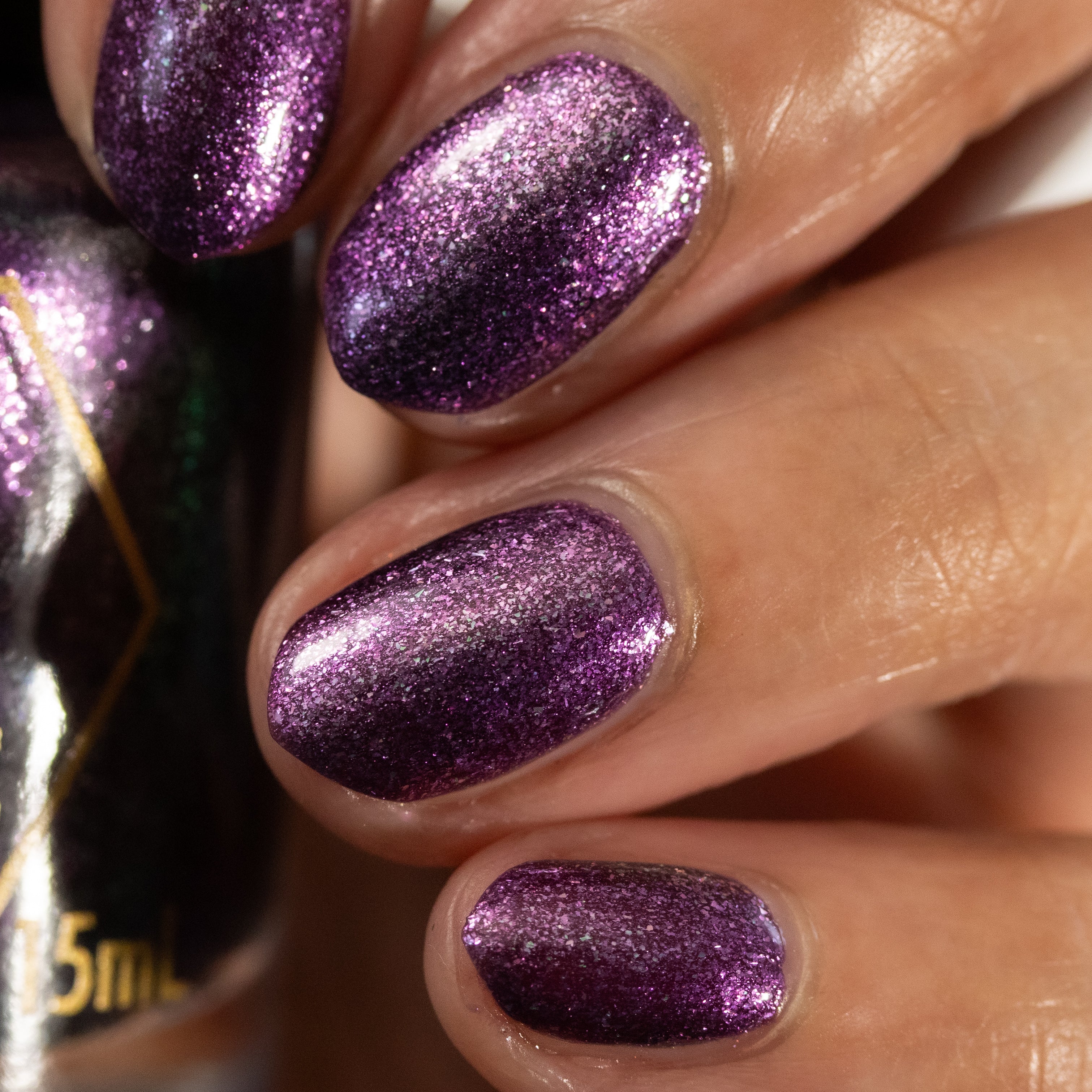 Nevermore - Image 38