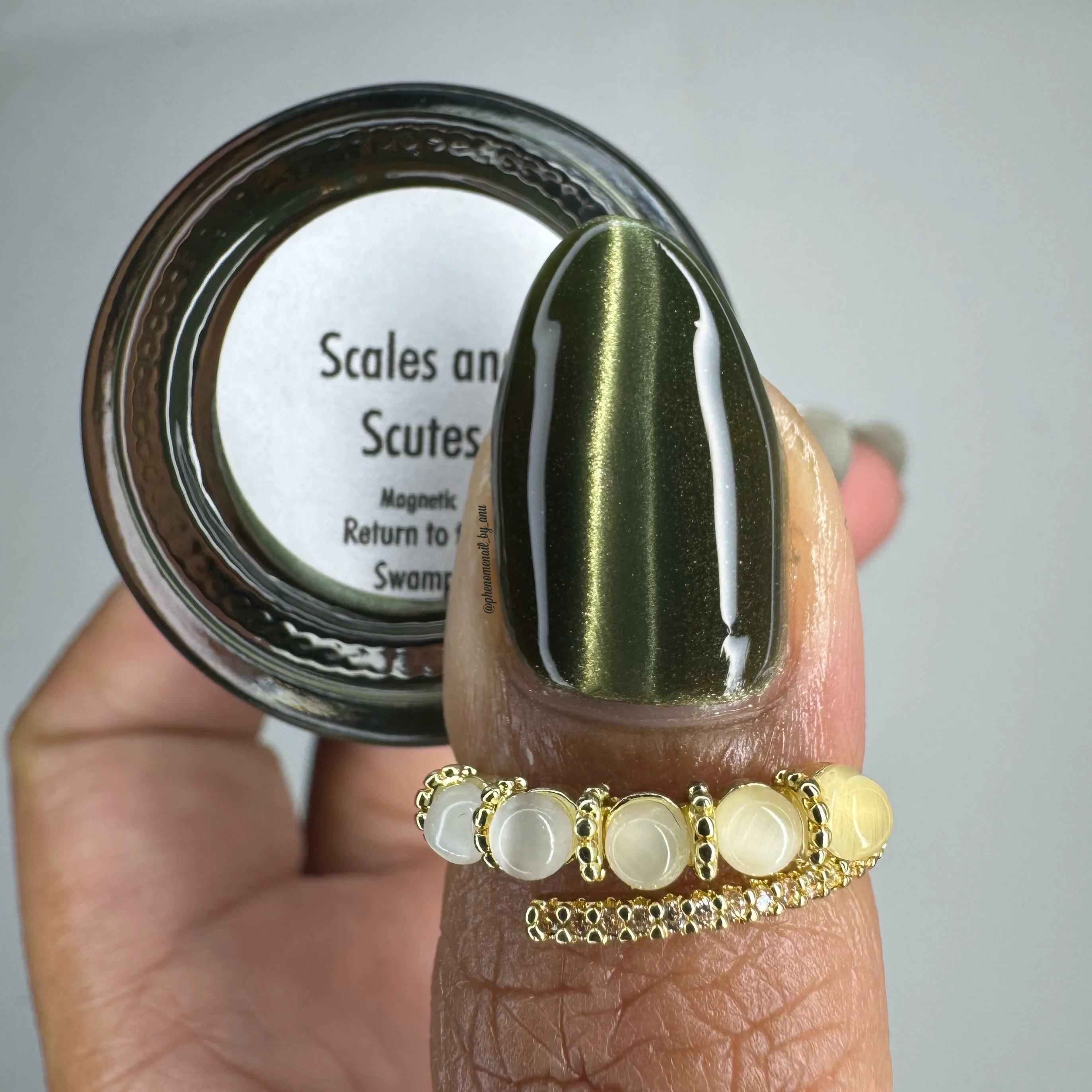 Scales and Scutes - Image 16