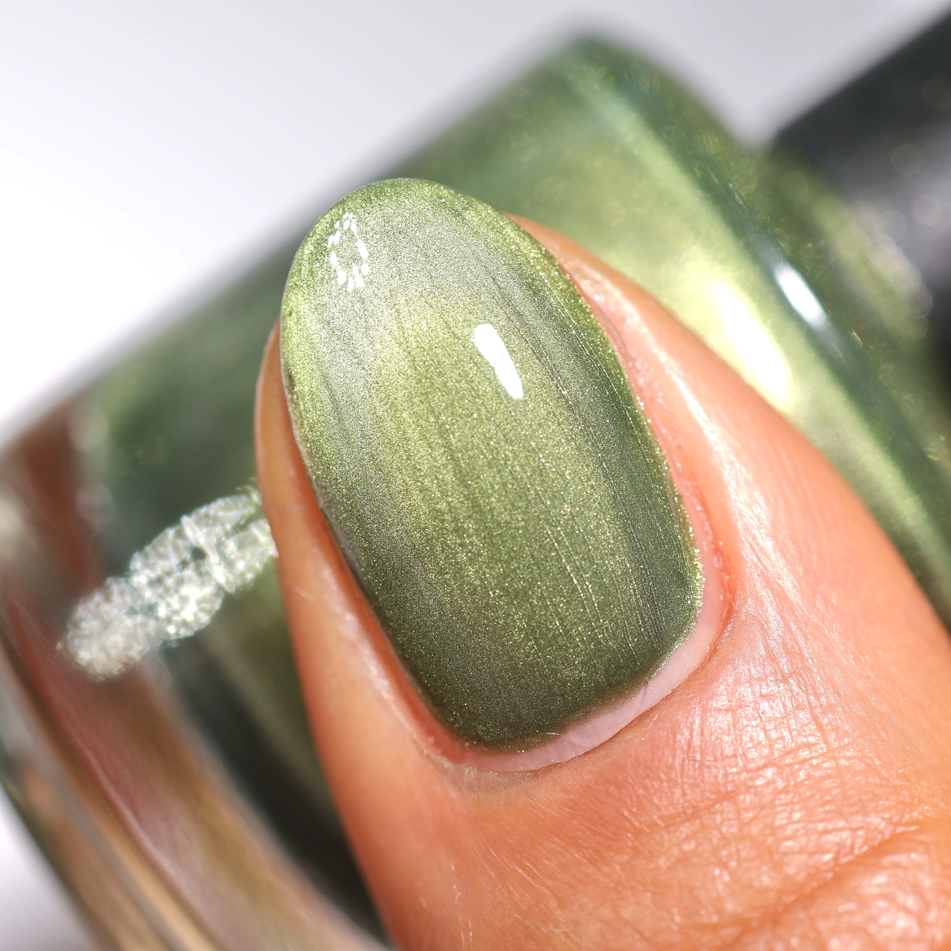 Scales and Scutes - Image 23