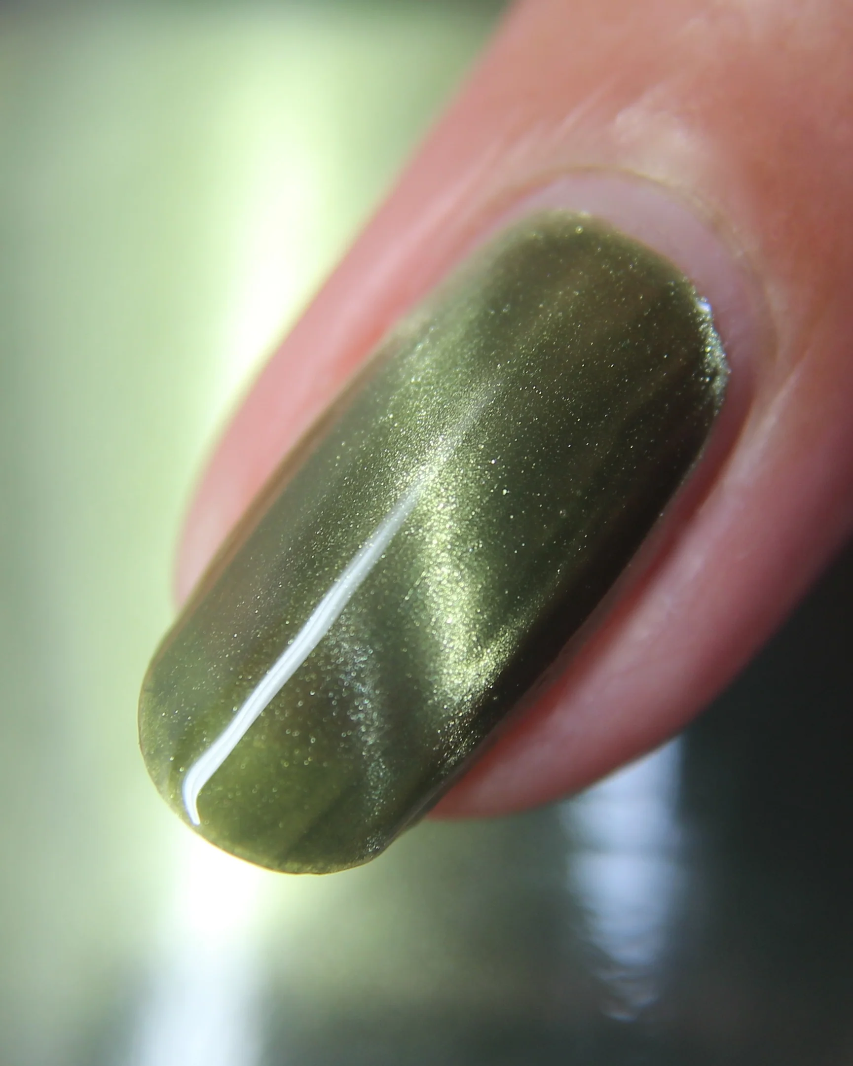 Scales and Scutes - Image 38