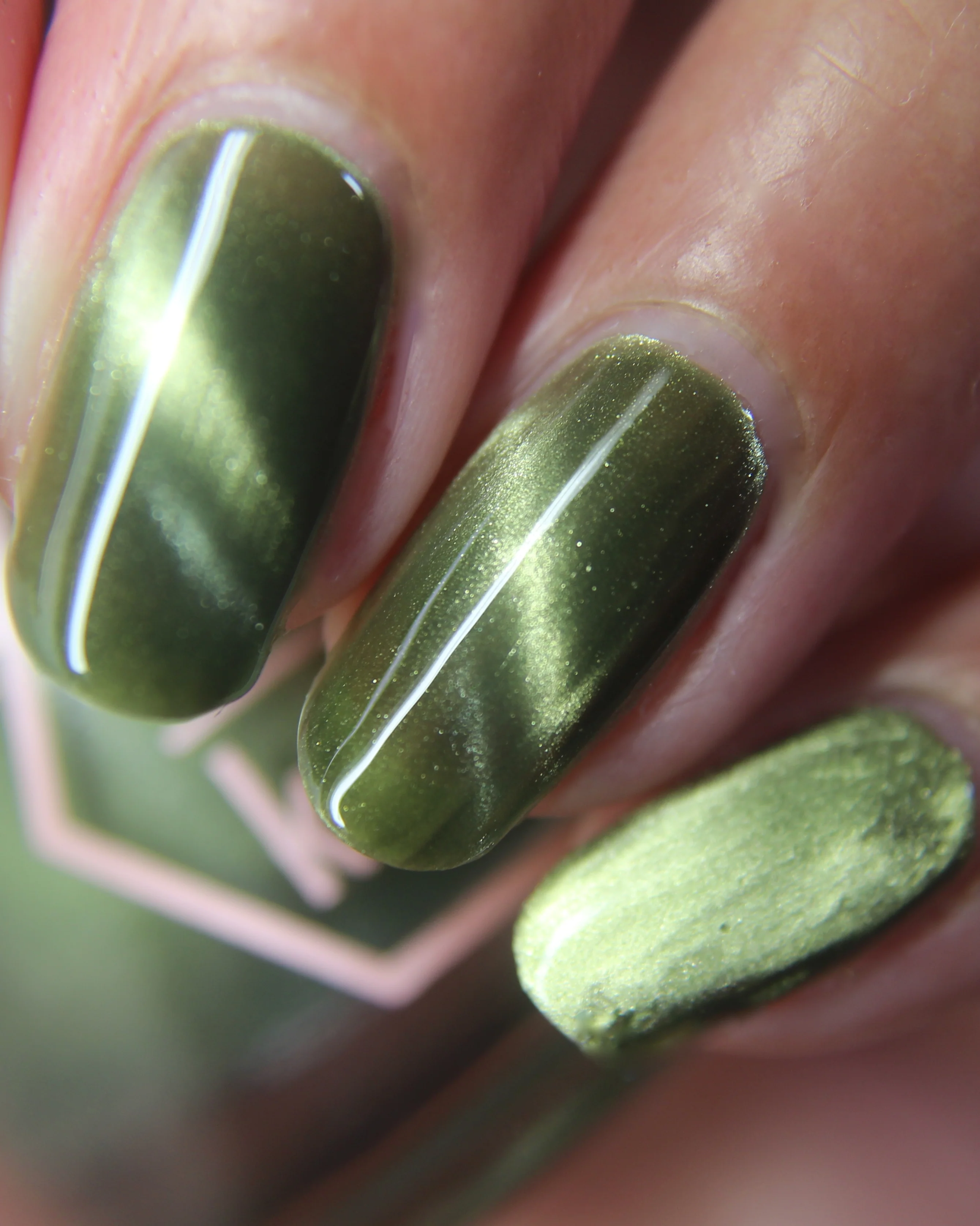 Scales and Scutes - Image 39