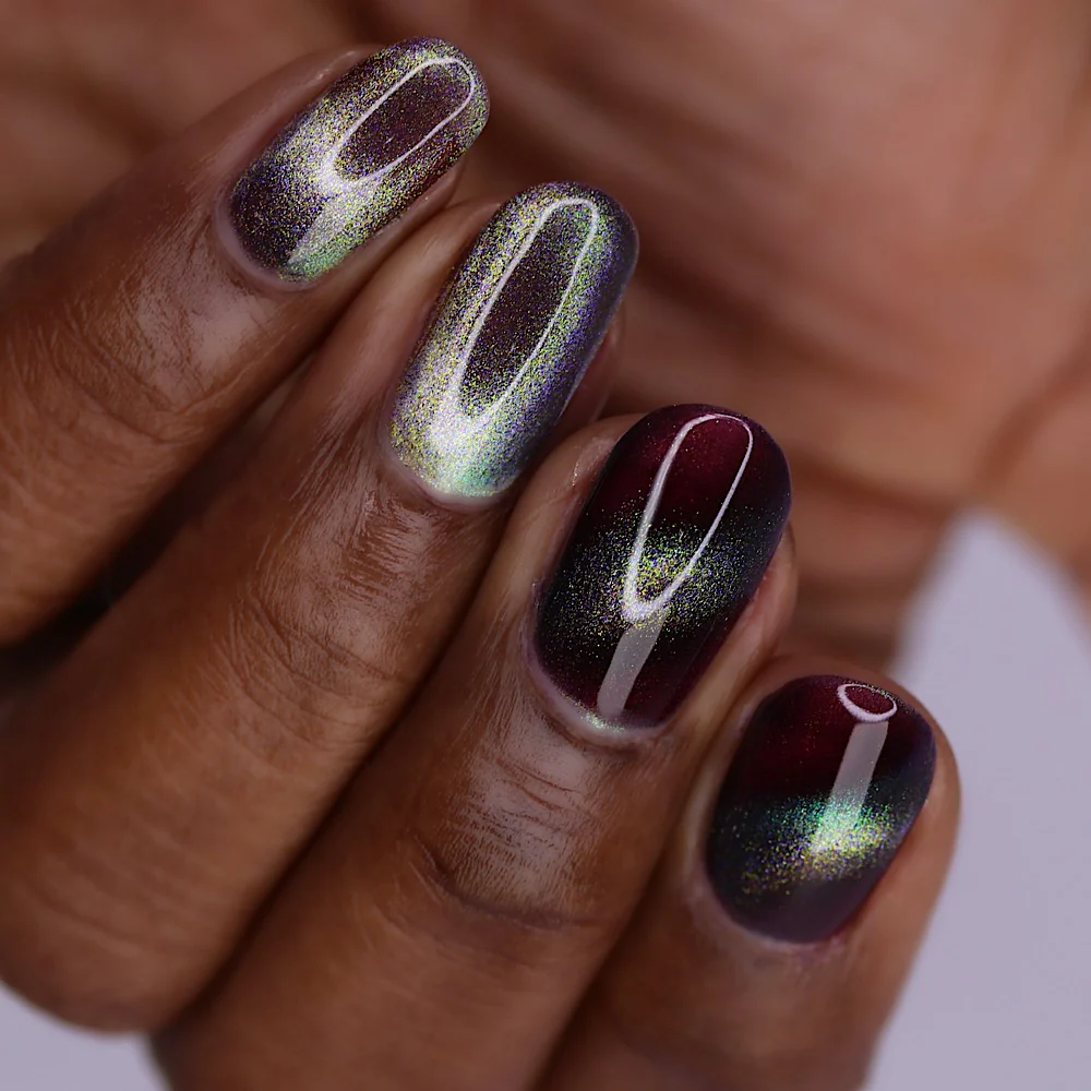 Shadows and Sunlight - Image 13